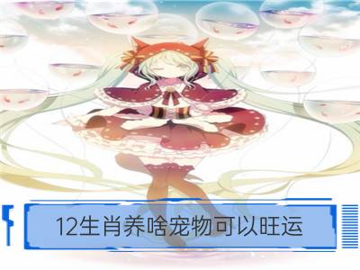 12生肖养啥宠物可以旺运_平安夜，12生肖要如何旺运？