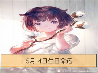 5月14日生日命运，五月十四日是什么星座？