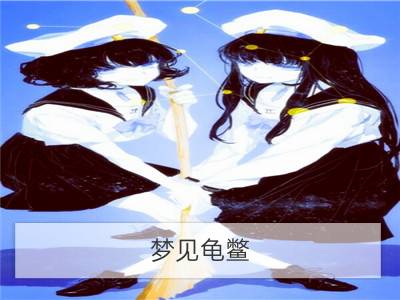 梦见龟鳖