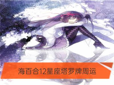 海百合12星座塔罗牌周运（11.6-11.12）